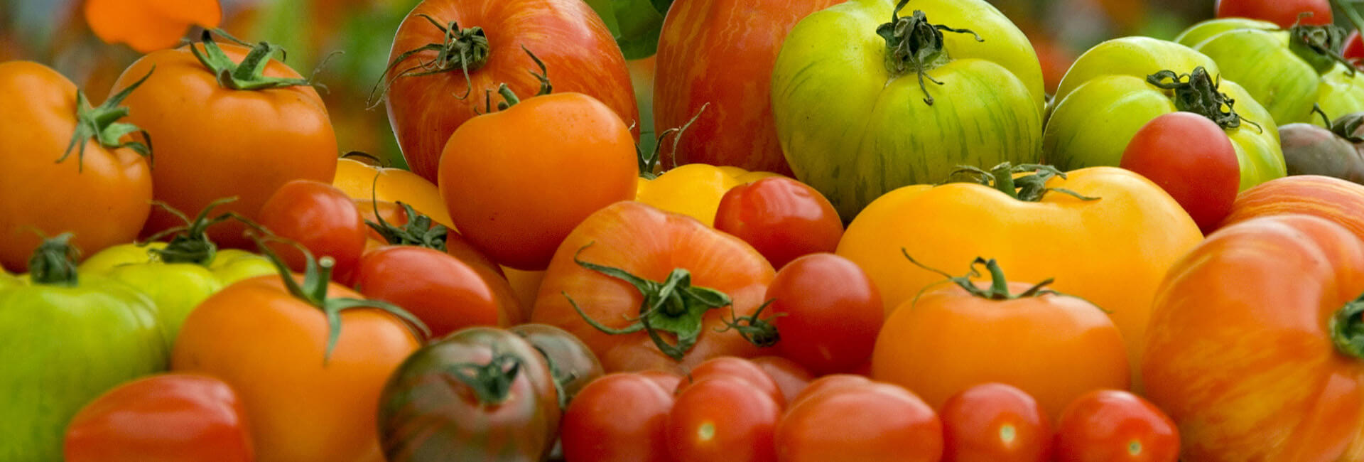 time to order your vegetable seed